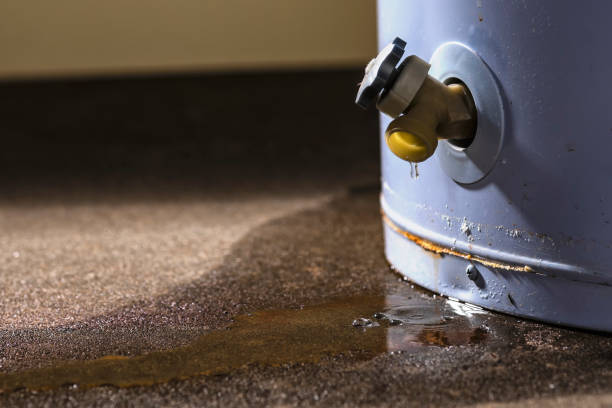 Best Water damage mitigation services  in Rotan, TX