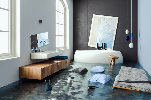 Best Water damage cleanup near me  in Rotan, TX