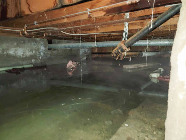 Best Flooded house restoration  in Rotan, TX