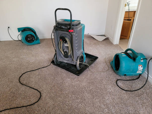 Best Water damage restoration near me  in Rotan, TX