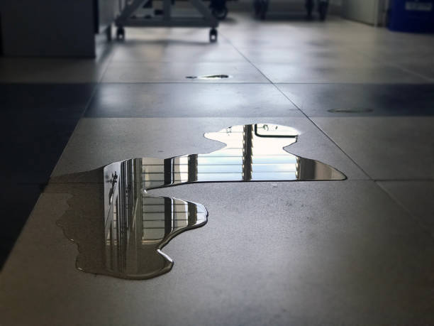 Best Water damage restoration cost  in Rotan, TX