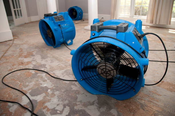 Best Water damage restoration insurance claims  in Rotan, TX