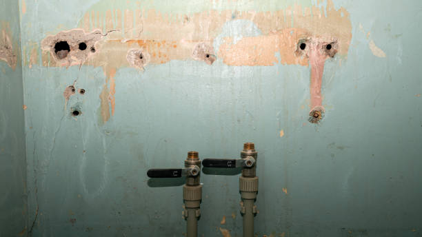 Best Water damage cleanup near me  in Rotan, TX