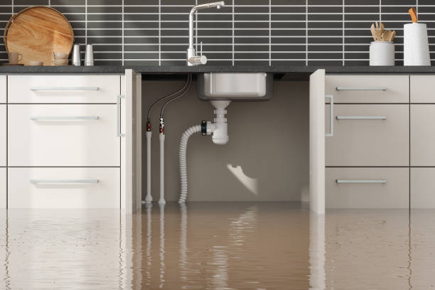 Best Ceiling water damage repair  in Rotan, TX
