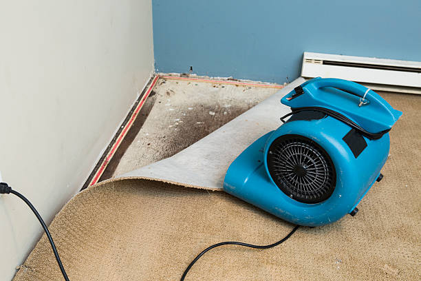 Best Carpet water damage restoration  in Rotan, TX